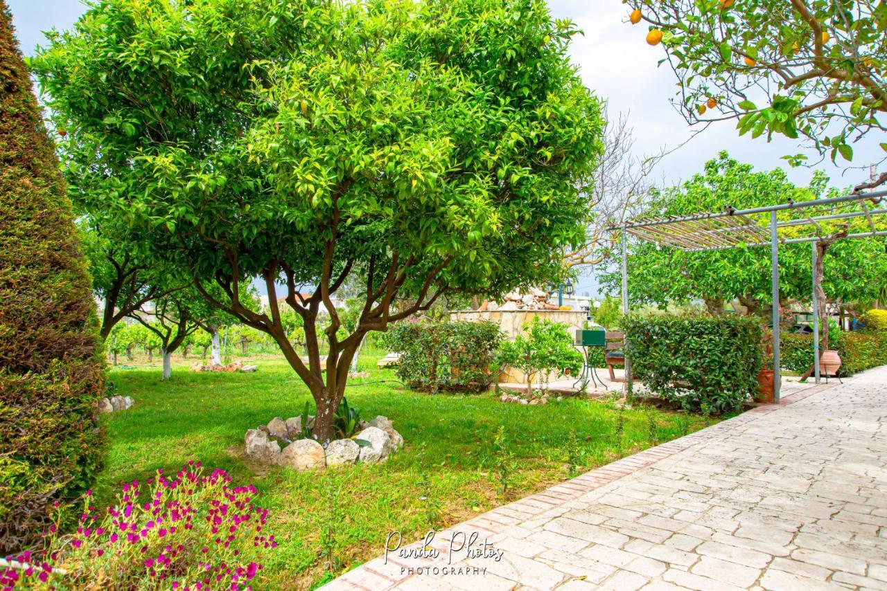 Zante Apts لاغاناس المظهر الخارجي الصورة