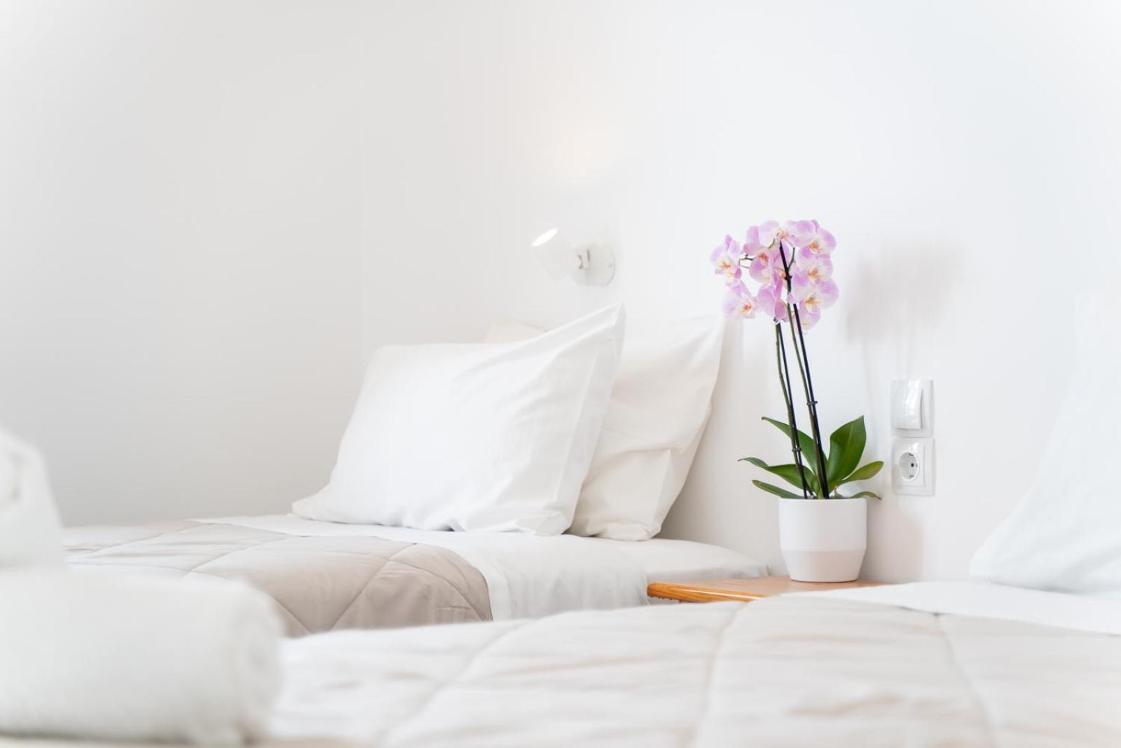 Zante Apts لاغاناس المظهر الخارجي الصورة